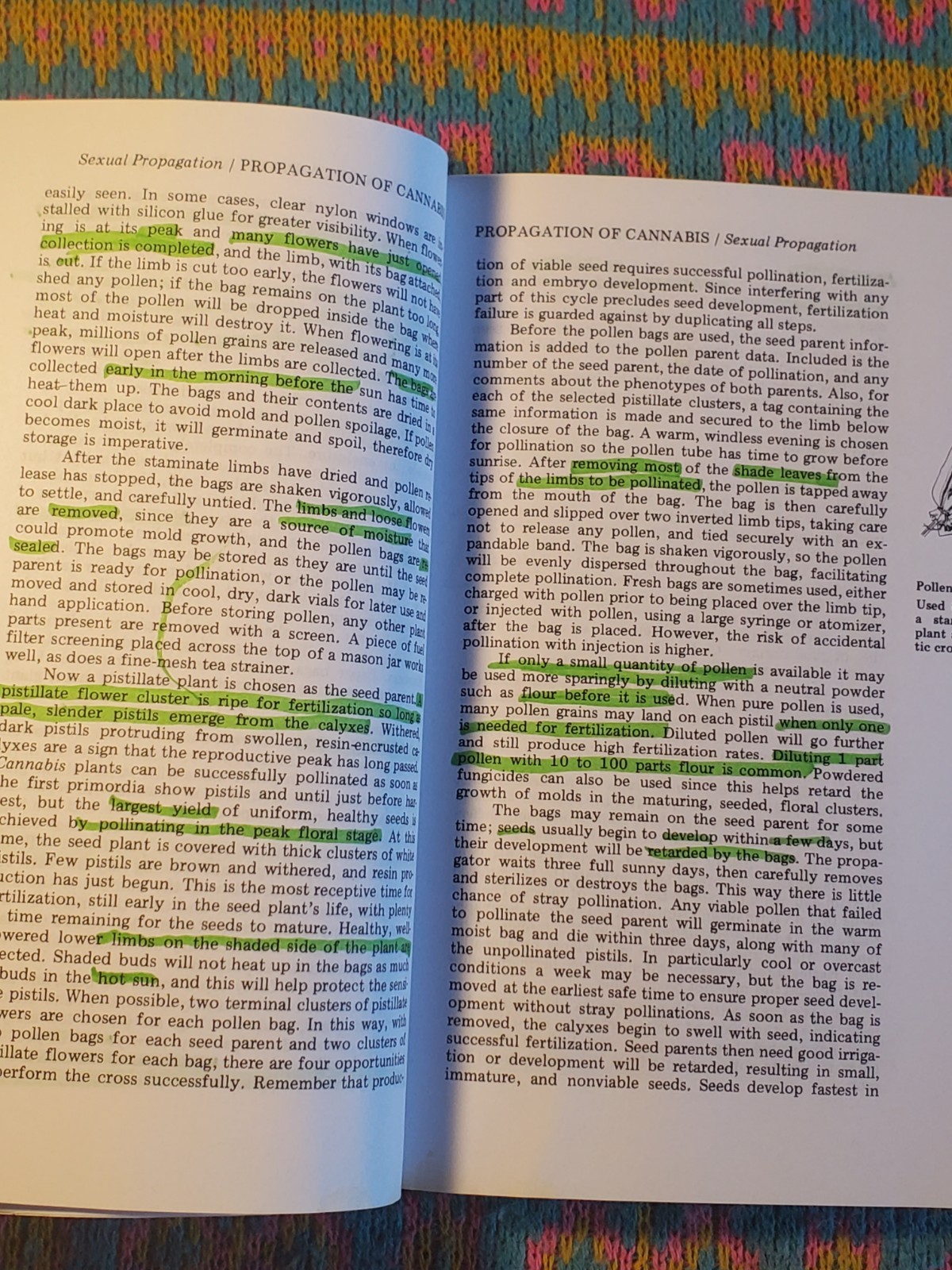 Marijuana Botany by Robert Clarke (Book) Cannabis Cultivation Advanced Study