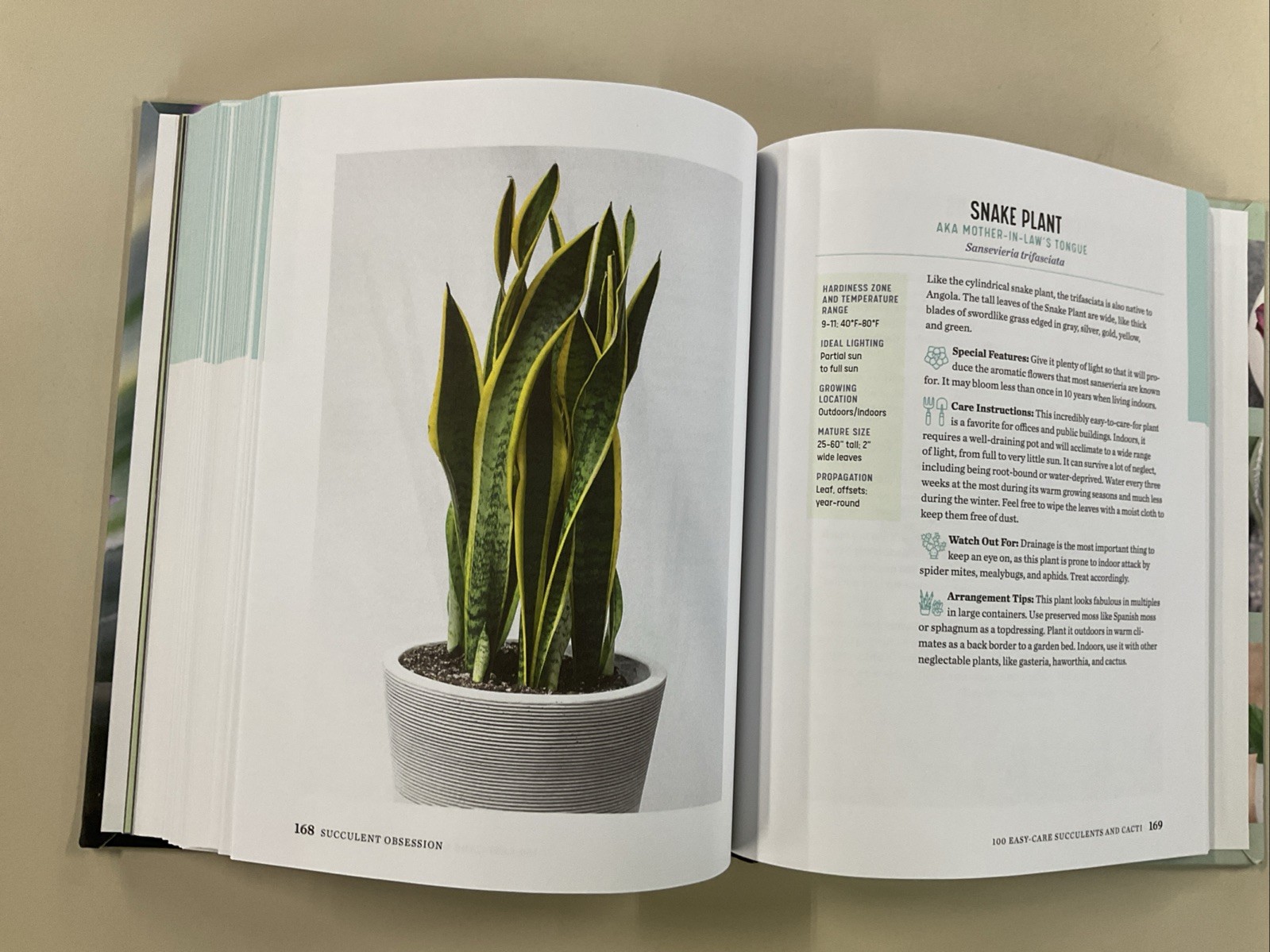 Succulent Obsession Complete Guide by Ken Shelf HC 2022 Rockridge Press