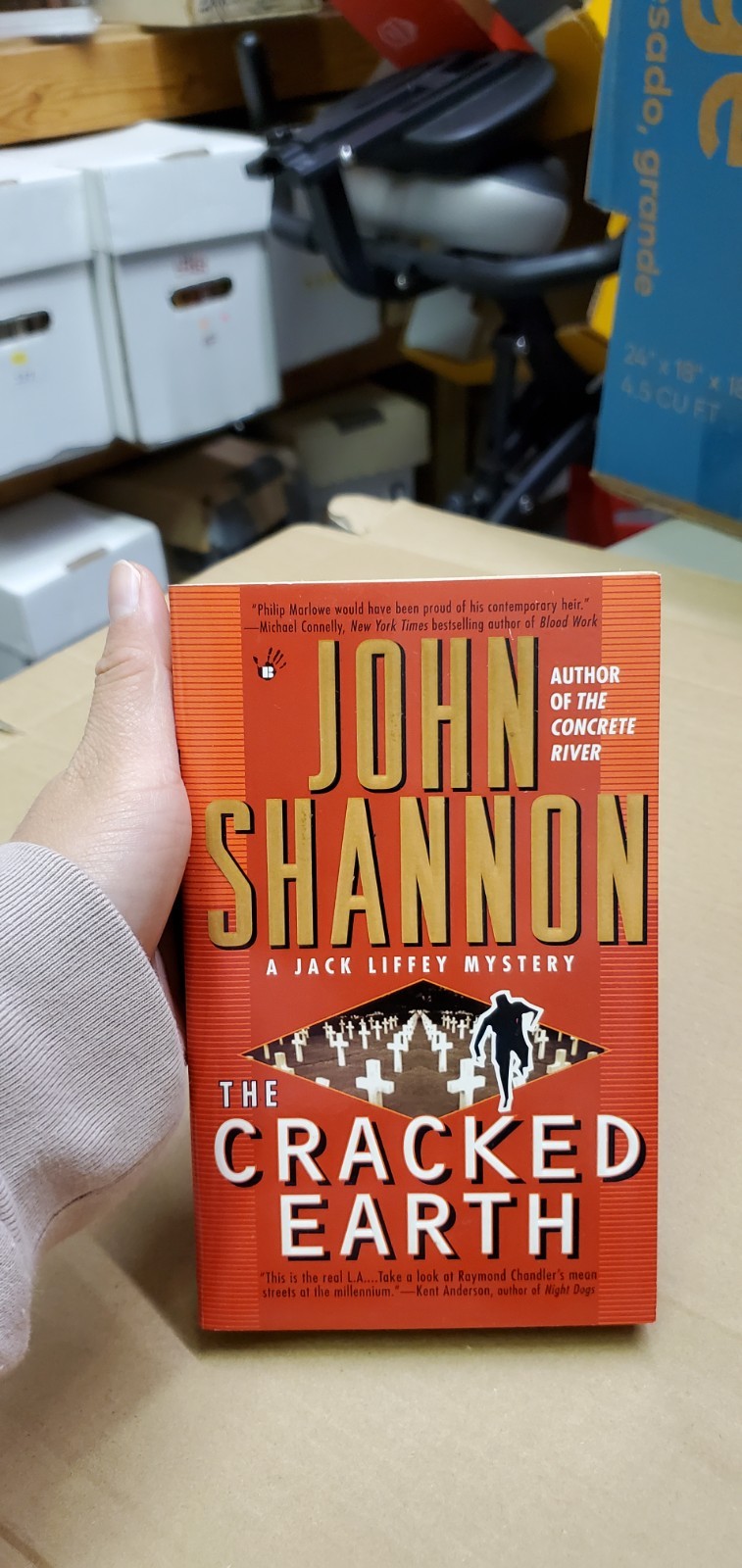 The Cracked Earth By John Shannon Berkely 1999 Paperback A Jack Liffey Mystery