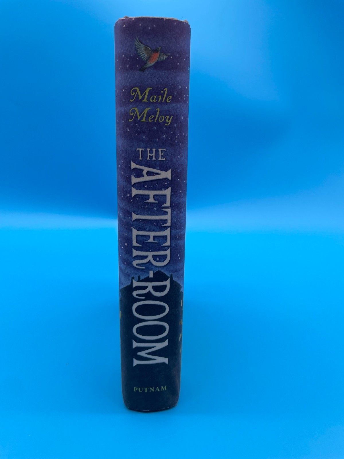 The After-Room (The Apothecary Series) – Hardcover By Meloy, Maile – GOOD