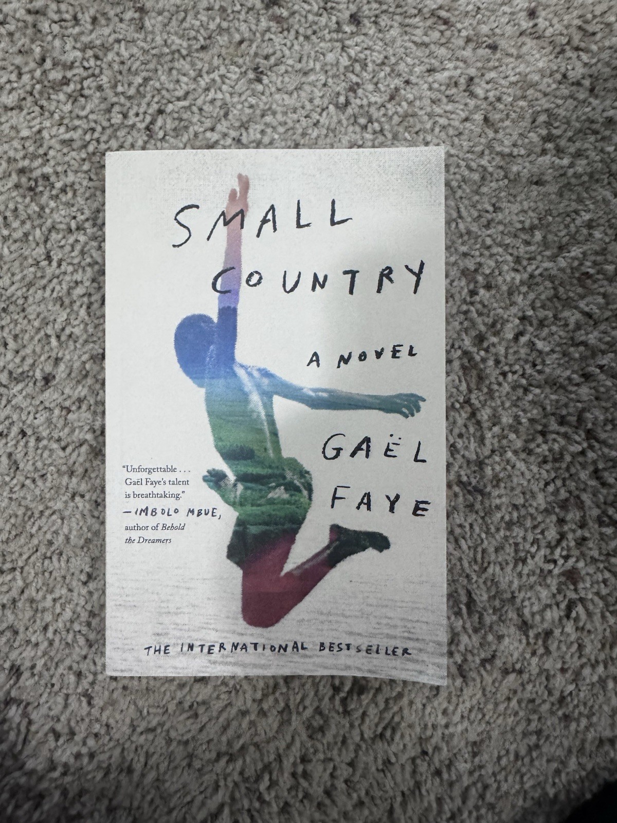 Gaël Faye Small Country: A Novel Trade Paperback 2019 Crown/Archetype