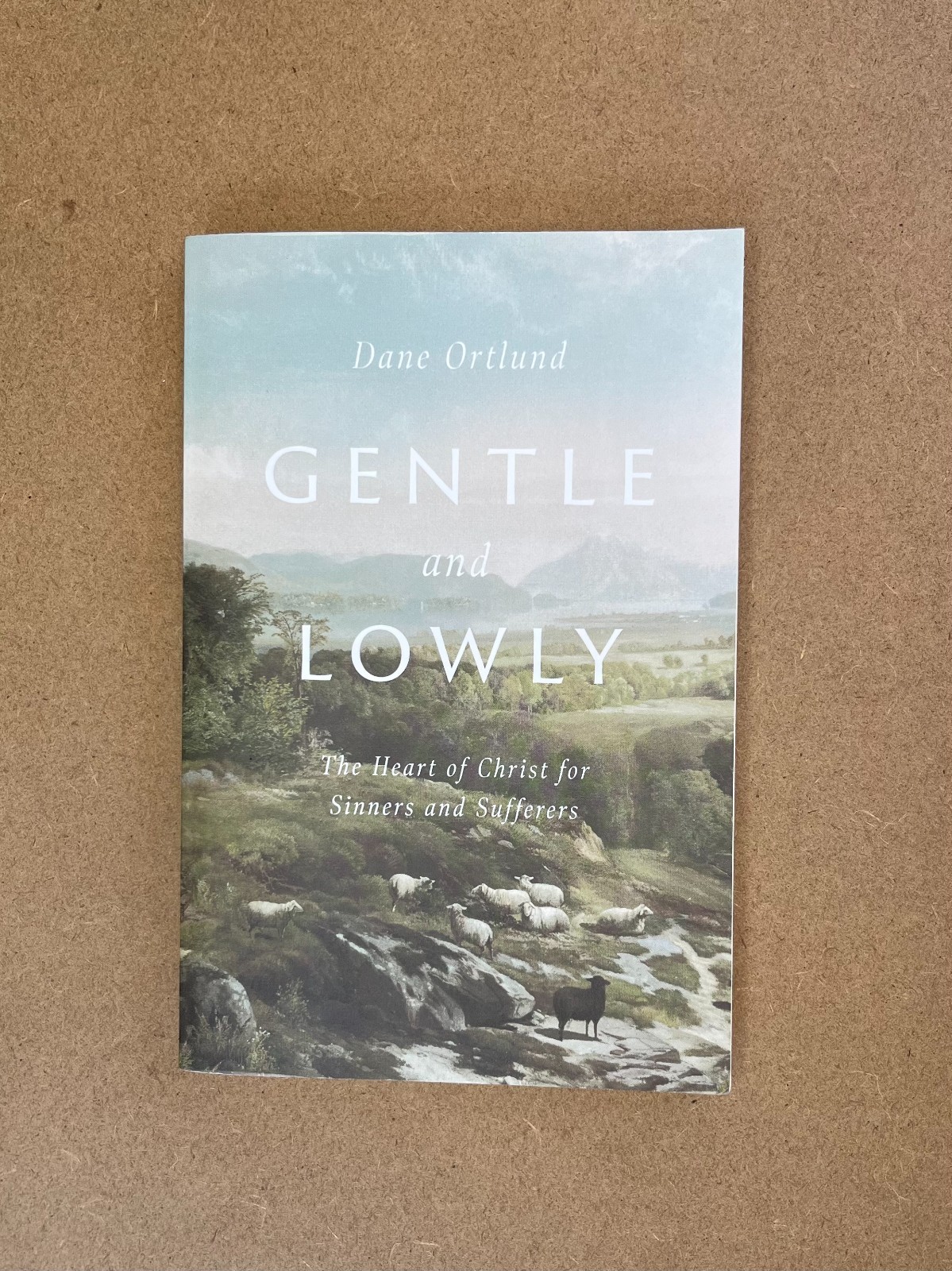 Gentle and Lowly: The Heart of Christ for Sinners and Sufferers by Dane Ortlund