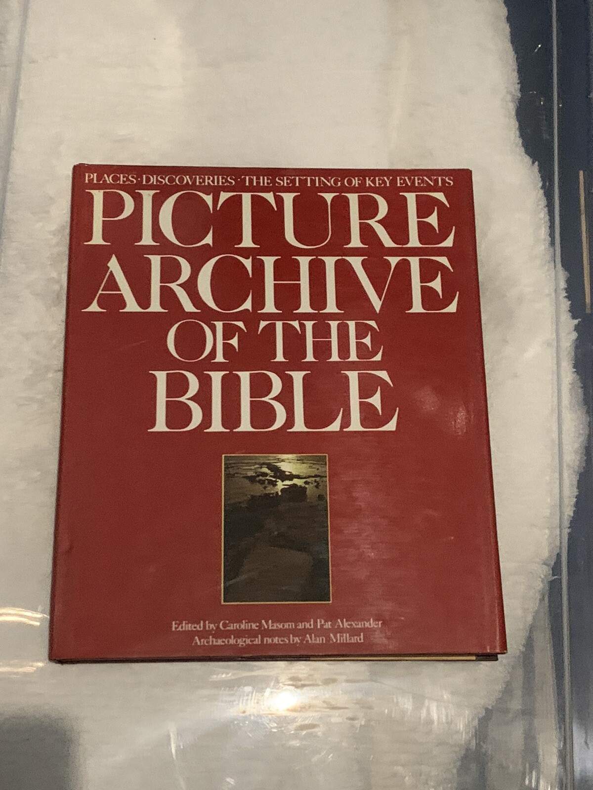 PICTURE ARCHIVE OF THE BIBLE. Hardback by Alan Millard (1987 hardcover)