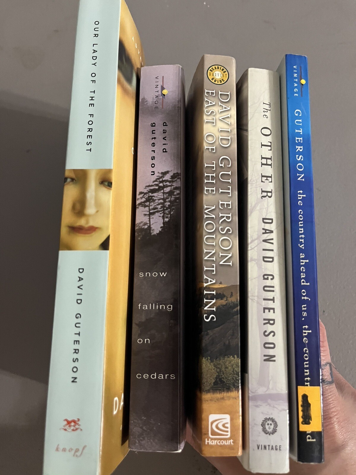 David Guterson 5 Book Lot Our Lady Snow Falling The Other The Country Banned