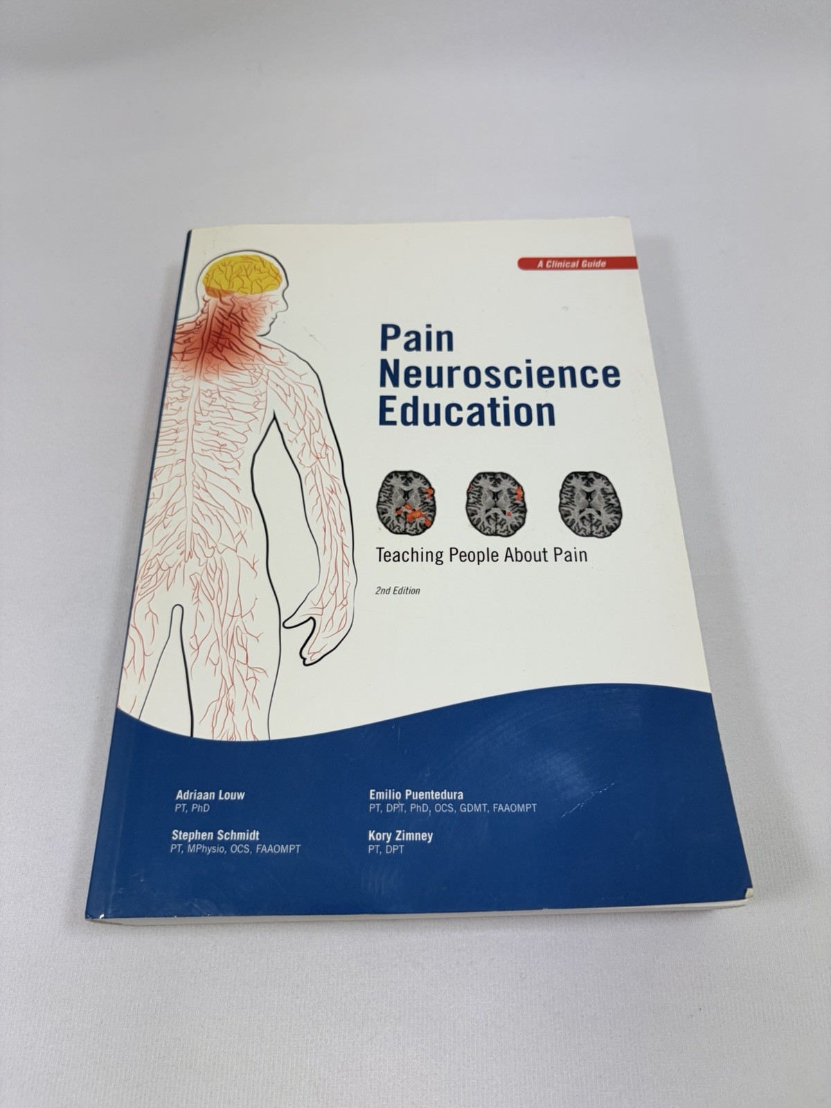 Pain Neuroscience Education: Teaching – Paperback, by Louw Adriaan