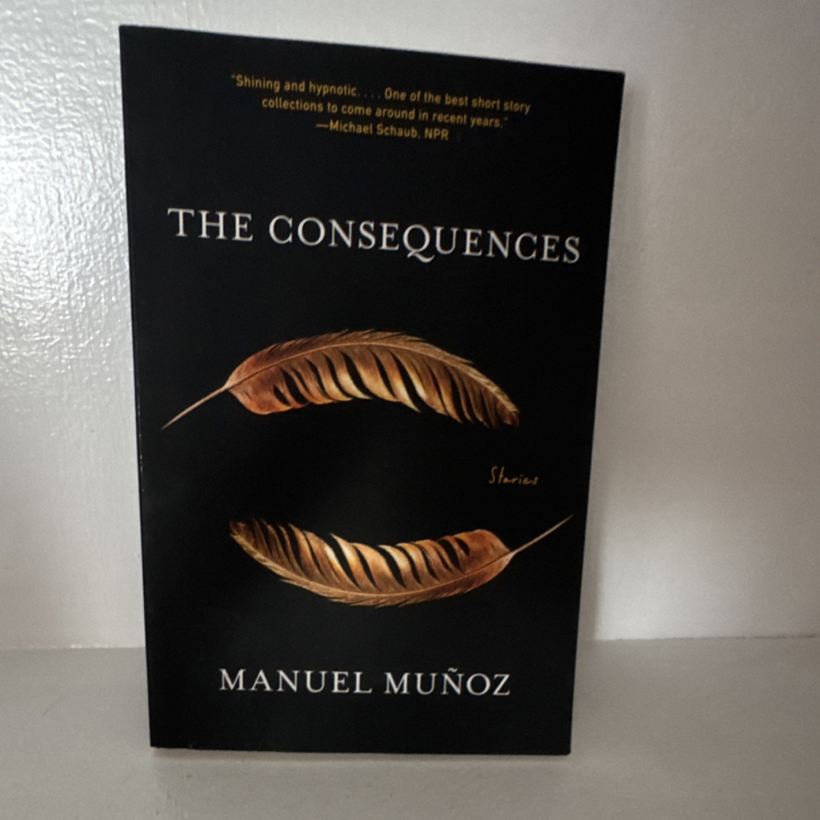 Consequences: Stories by Manuel Muñoz Graywolf Press Fiction Paperback 2022