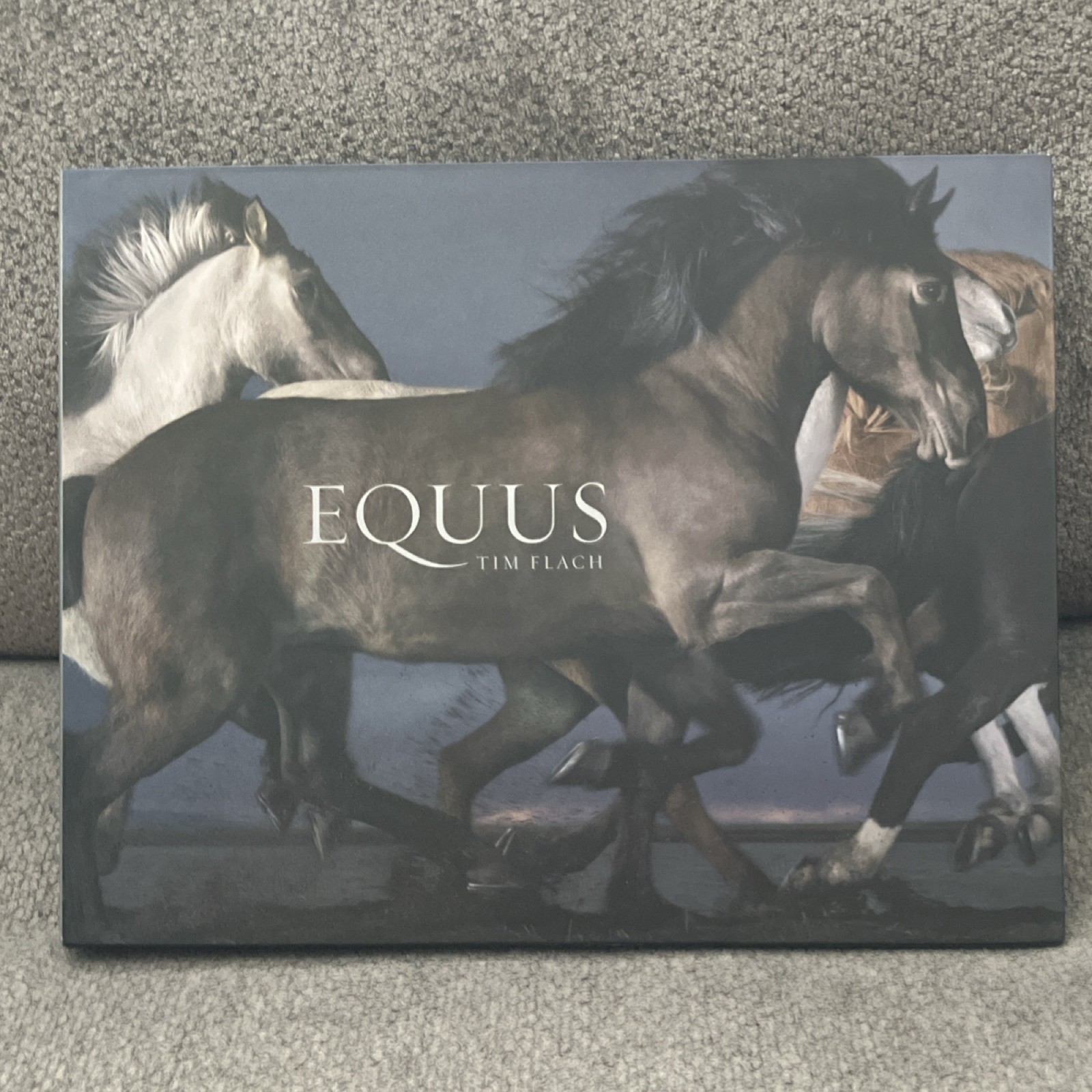 Equus by Tim Flach Hardcover Picture Book Horses by Abrams 2008