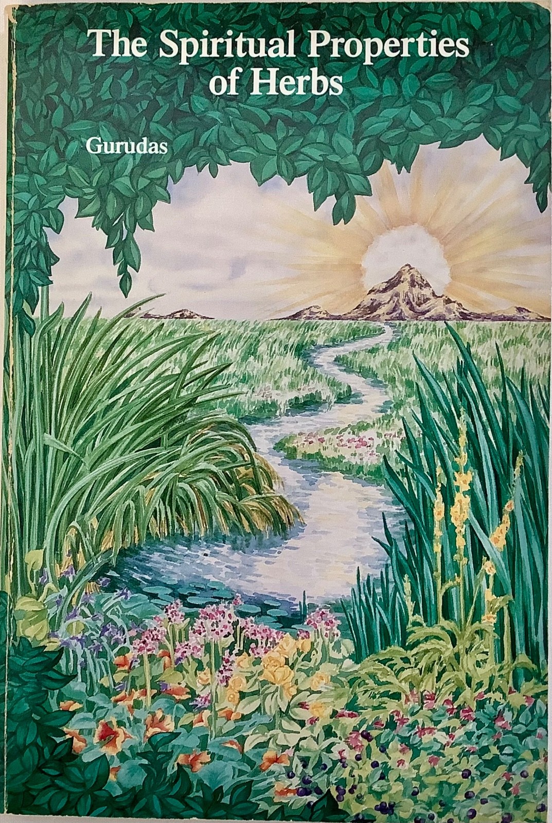 Spiritual Properties of Herbs by Gurudas (1988, Trade Paperback)