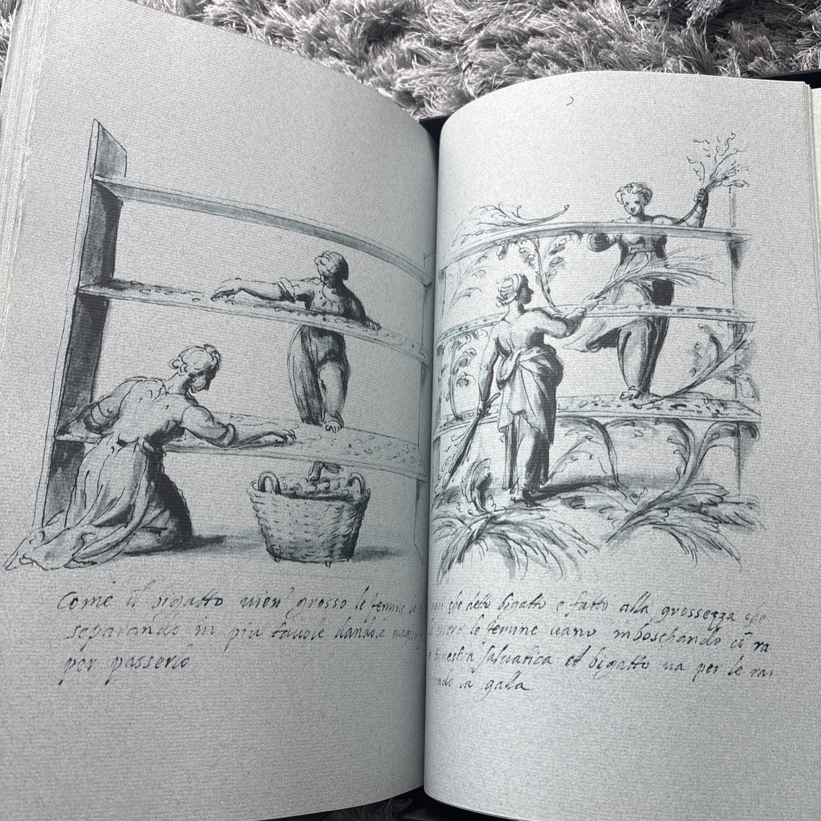 Arcimboldo by Roland Barthes (Hardcover, Franco Maria Ricci, Art)