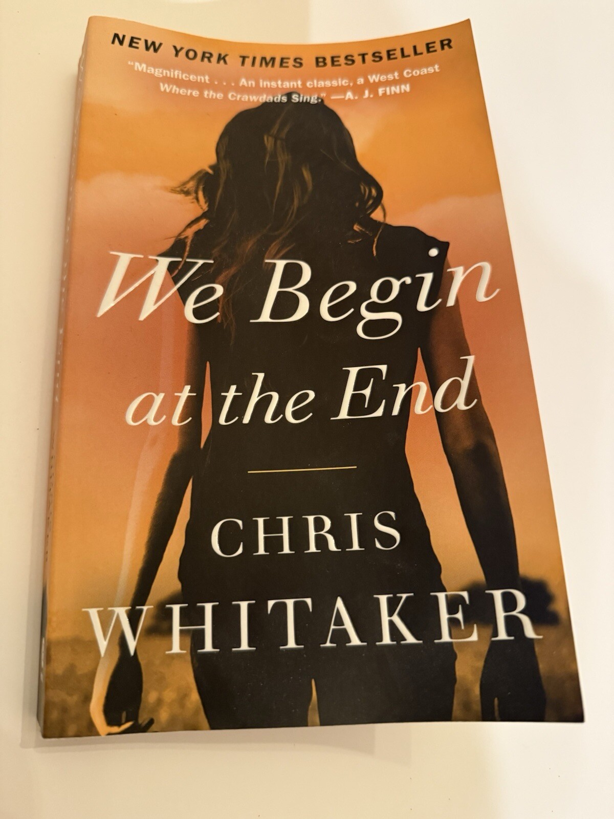 We Begin at the End by Chris Whitaker (2020, Library Binding)
