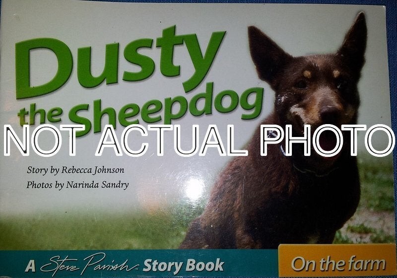 Sandry Narinda Johnson Rebecca / Dusty the DogSteve Parish Kids Story Book 2004