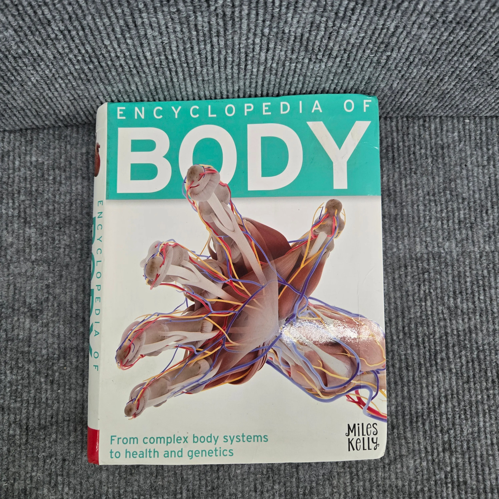 Miles Kelly Encyclopedia of Body Book Paperback