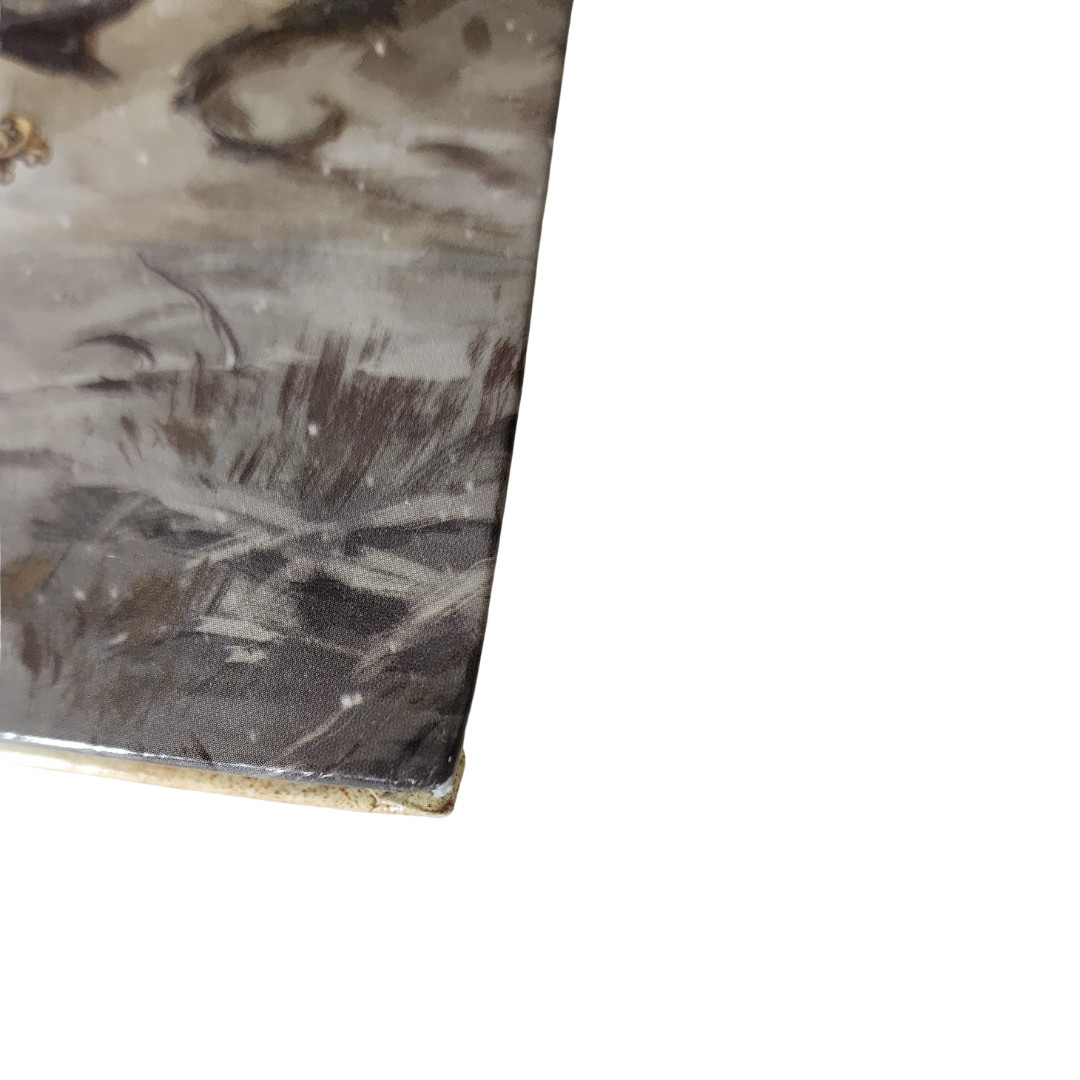 Paizo Pathfinder Lost Omens RPG Character Guide Hardcover Second Edition