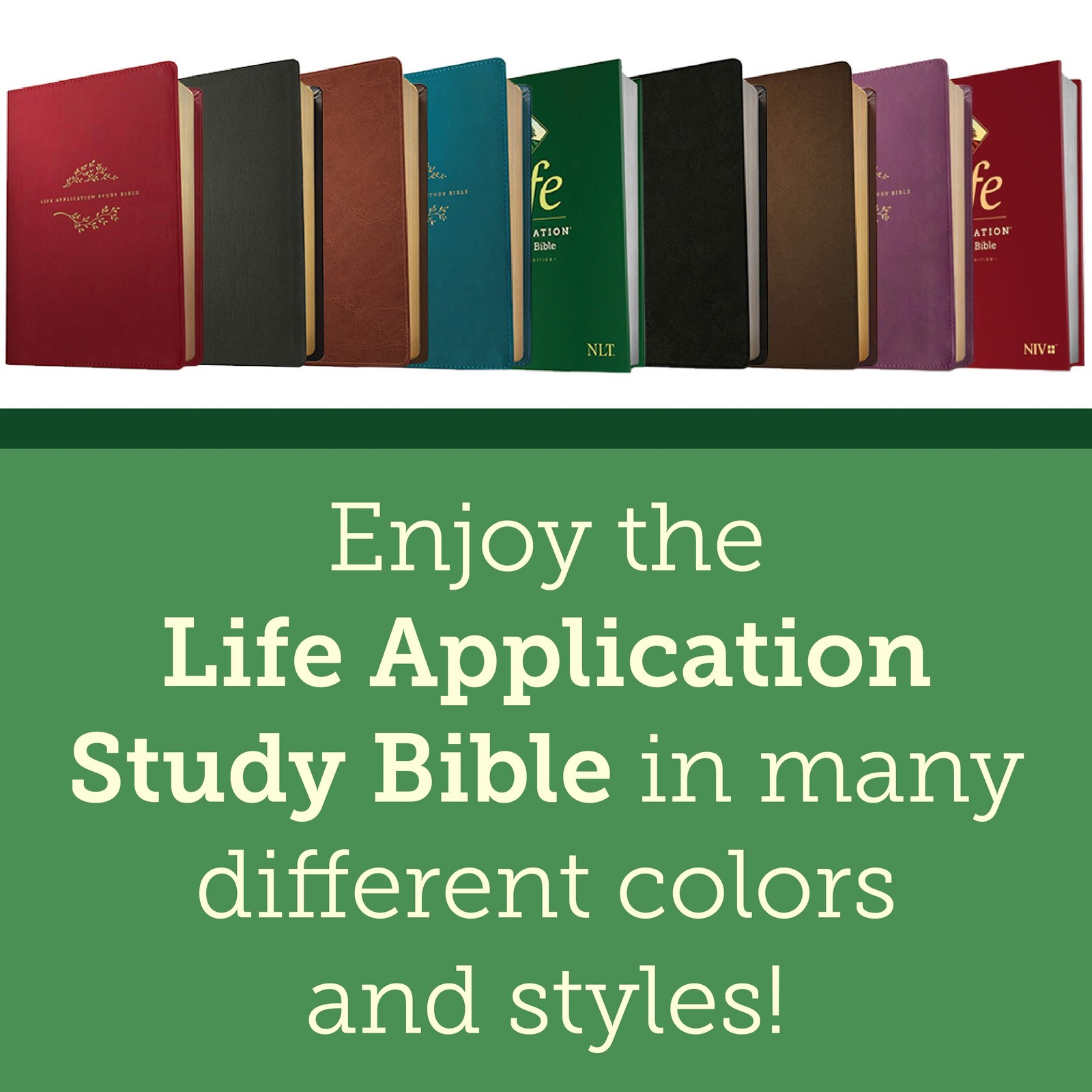 NLT Life Application Study Bible, Third Edition (Red Letter, Multicolor