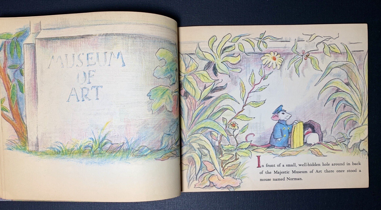 1960s VINTAGE Paperback 1st Edition Children’s Book DON FREEMAN mouse ART illus