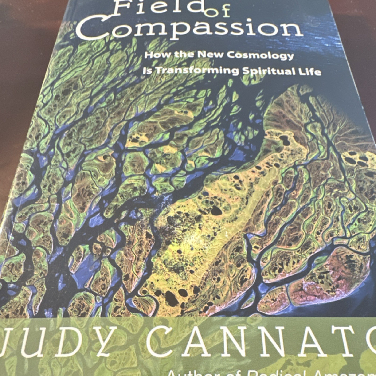 AVE Maria Press Field of Compassion Judy Cannato Paperback Spirituality