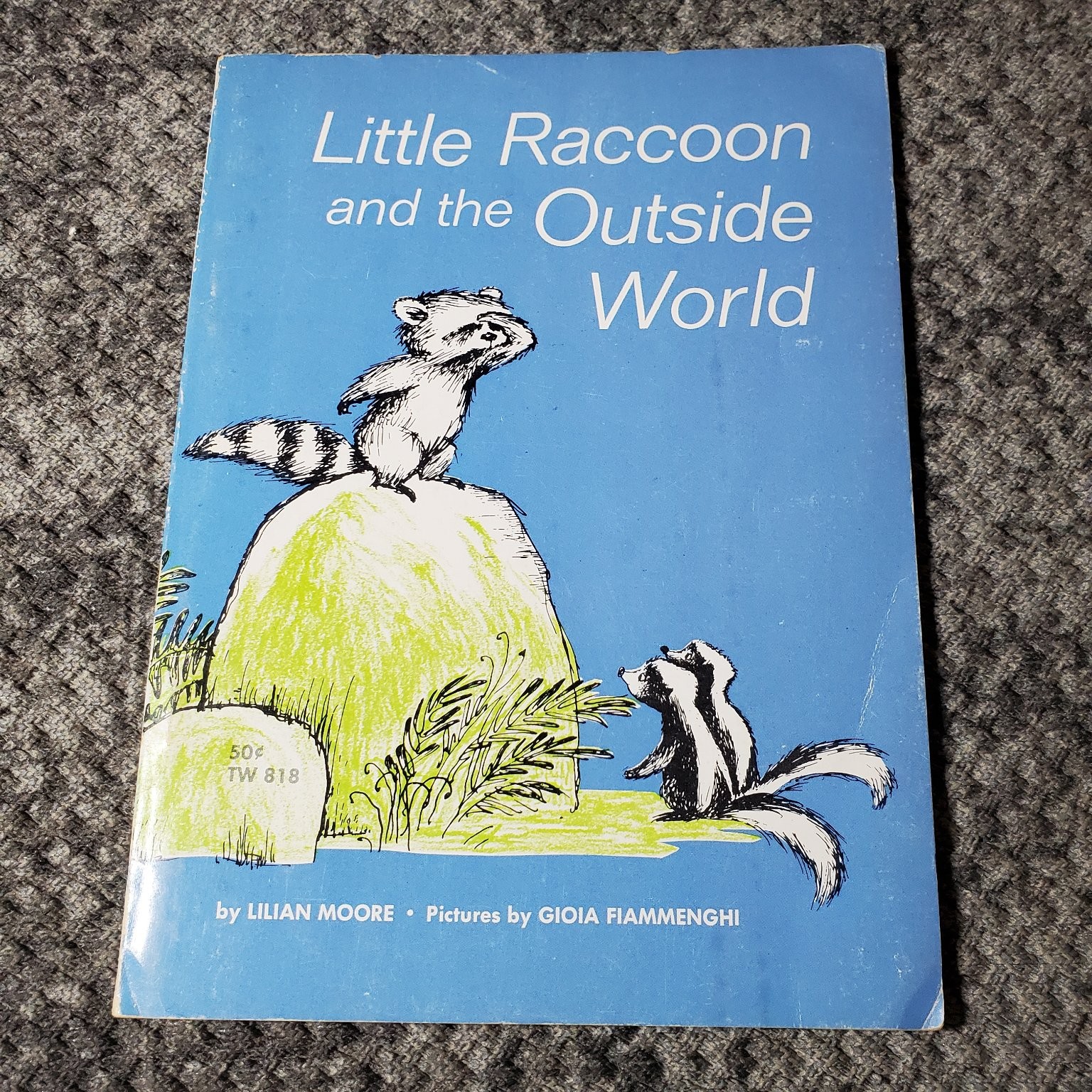 Little Raccoon and the Outside World Lilian Moore 1965 6th Printing Illustrated