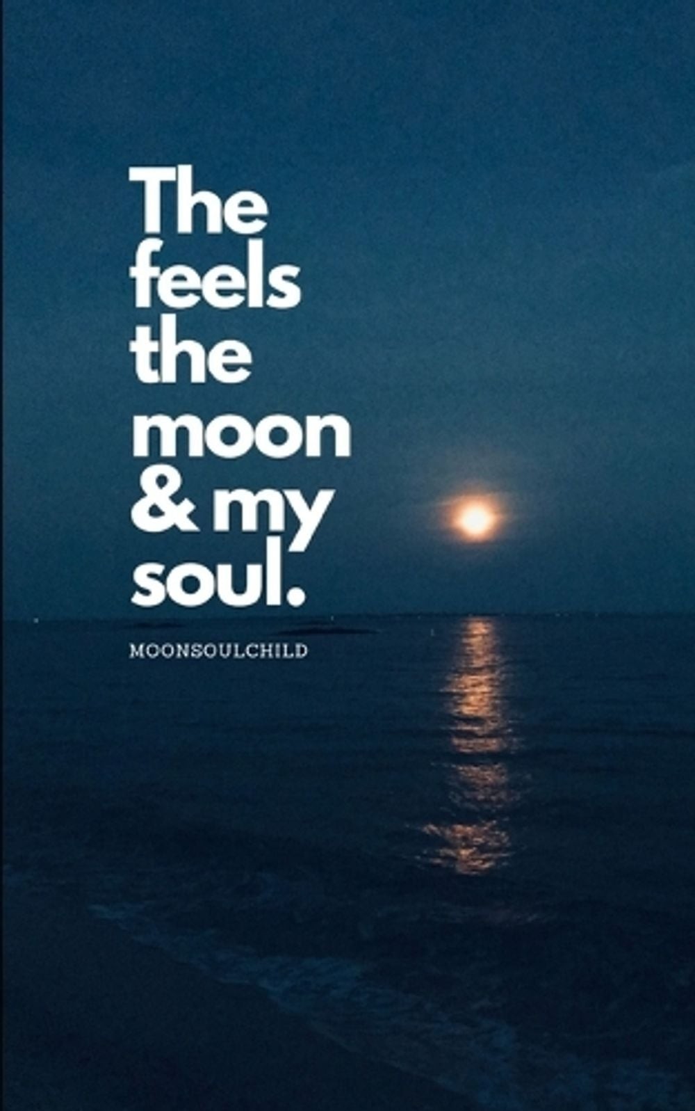 The Feels The Moon and My Soul by Sara Sheehan (English) Paperback Book