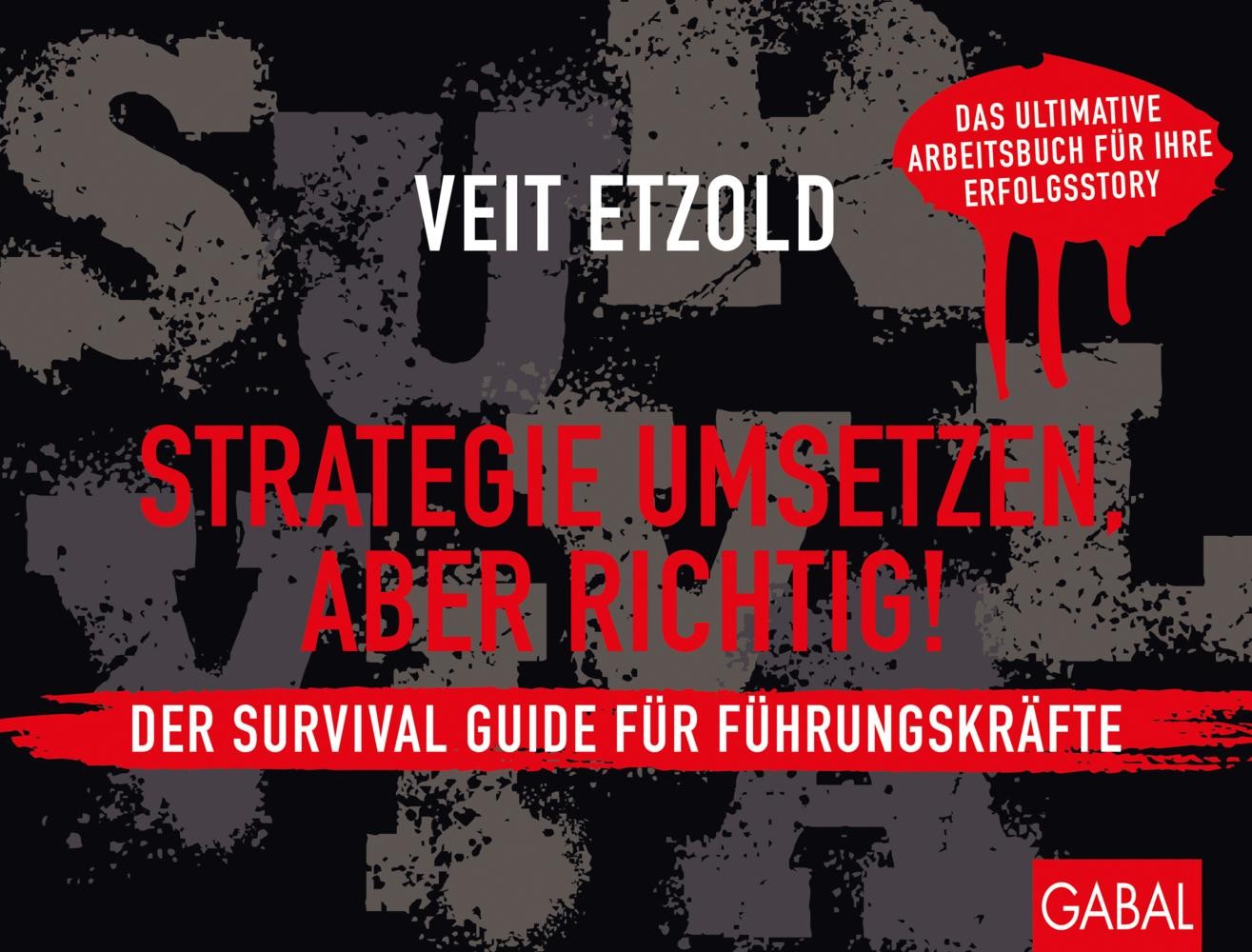 Veit Etzold / Strategie umsetzen, aber richtig! Der Survival Guide für Führu …