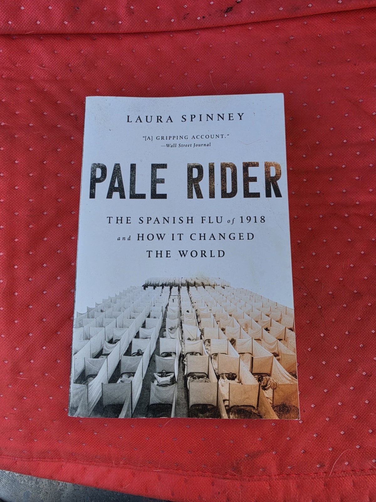 Pale Rider: The Spanish Flu of 1918 Paperback by Laura Spinney PublicAffairs