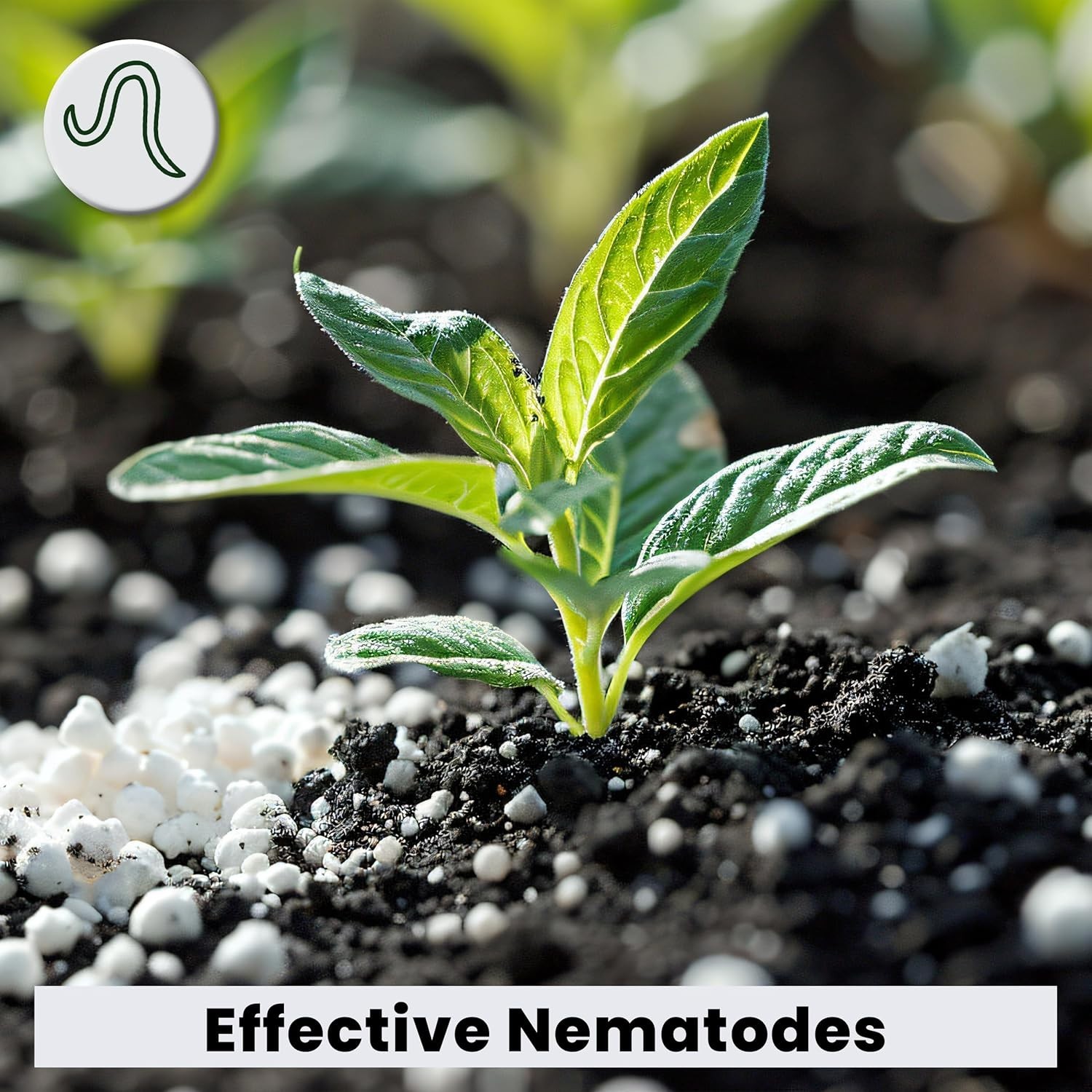Eco-Friendly Nematodes 280g – Natural Pest Control for Indoor & Outdoor Plants