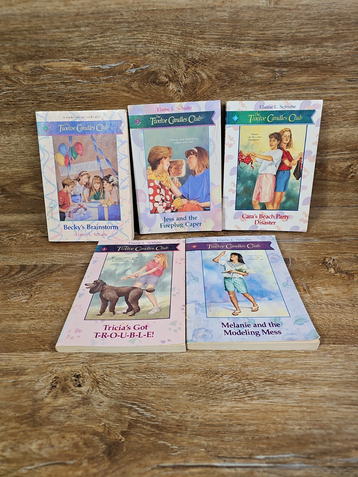 THE TWELVE CANDLES CLUB Elaine L. Schulte Book Lot #1-#5 EX-Library (Read)