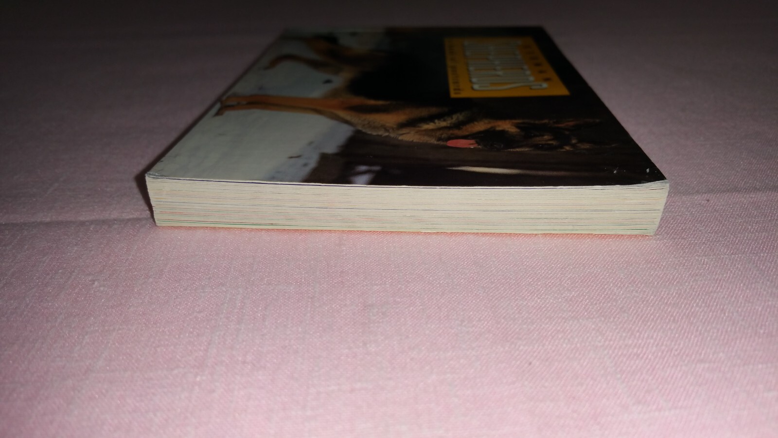 GERMAN SHEPHERDS A BOOK OF POSTCARDS – MISSING 1 POSTCARD