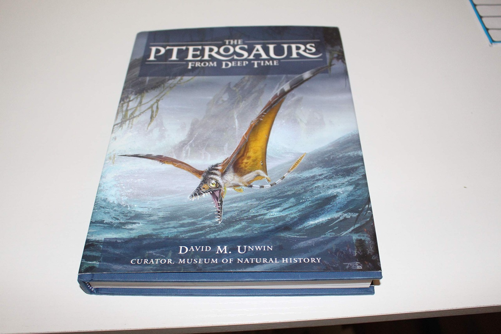The Pterosaurs: From Deep Time