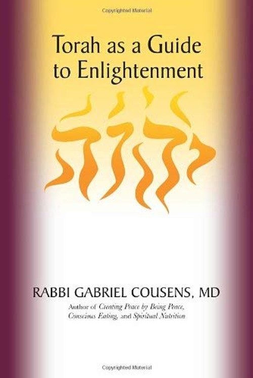 Torah as a Guide to Enlightenment Hardcover Gabriel Cousens