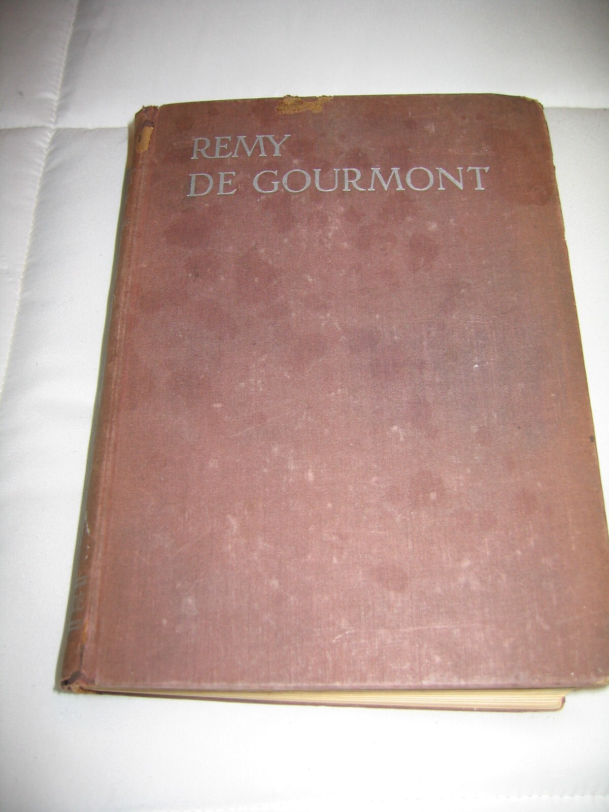 Remy de Gourmont: Selections from All His Works, Volume 1 Richard Aldington 1929