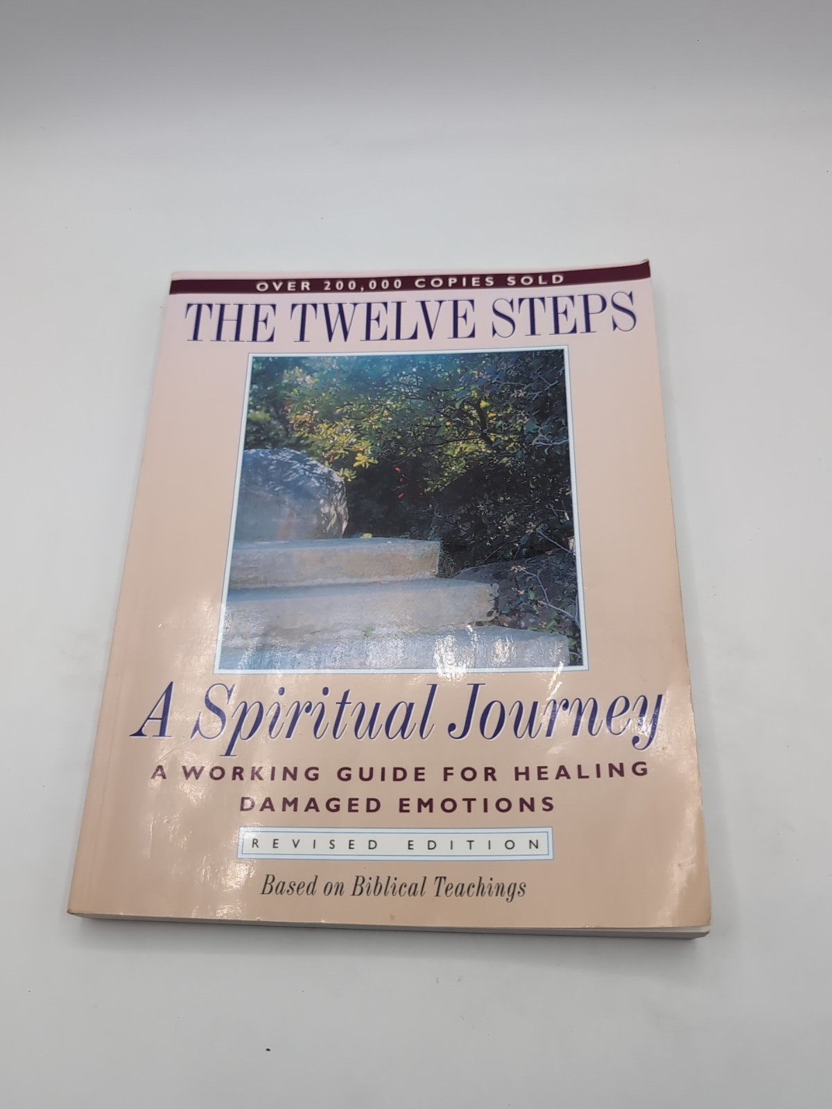 Twelve Steps – A Spiritual Journey : A Working Guide for Healing Damaged…