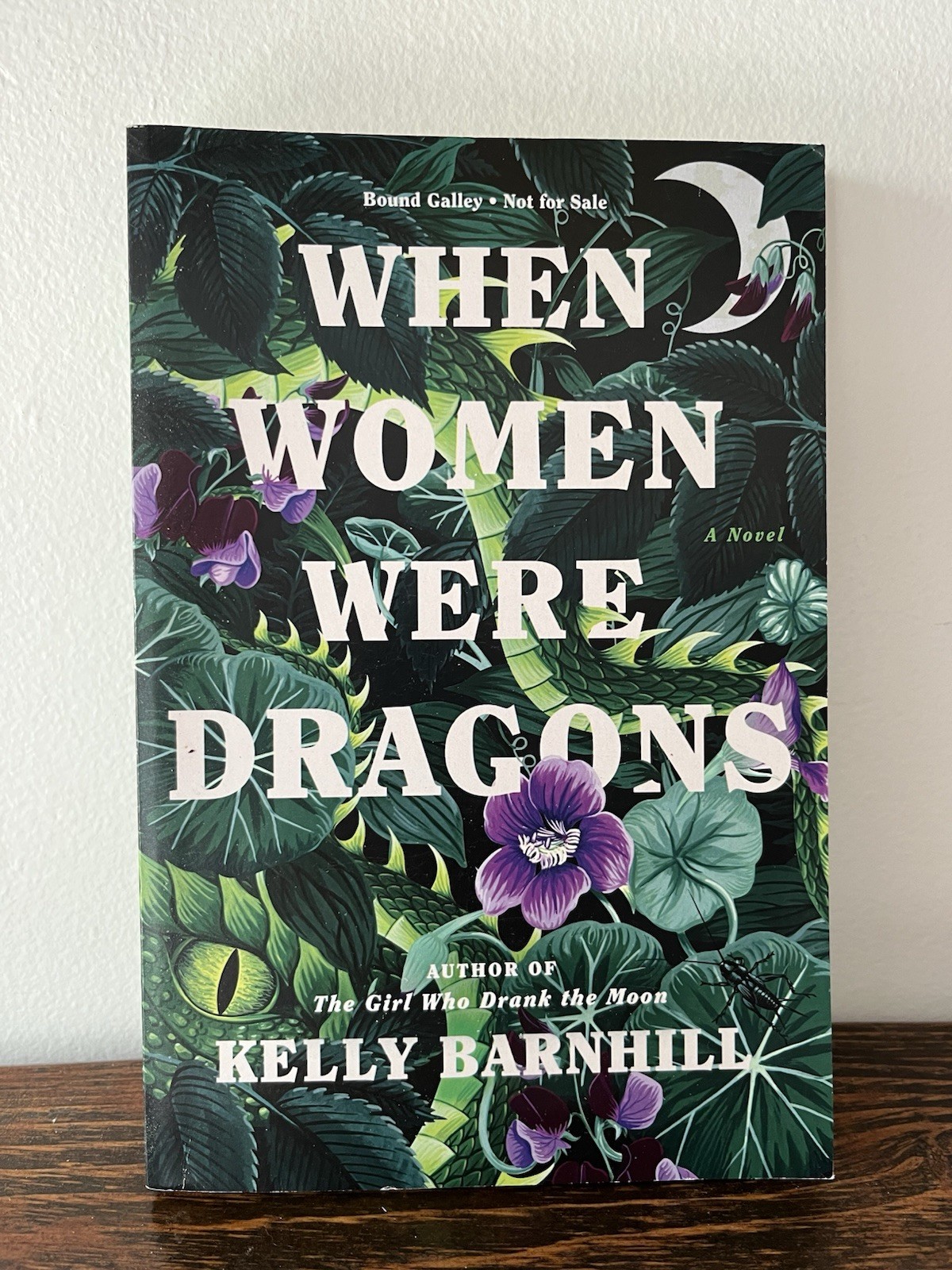SCARCE-When Women Were Dragons: A Novel By Kelly Barnhill-Advance Reader Copy