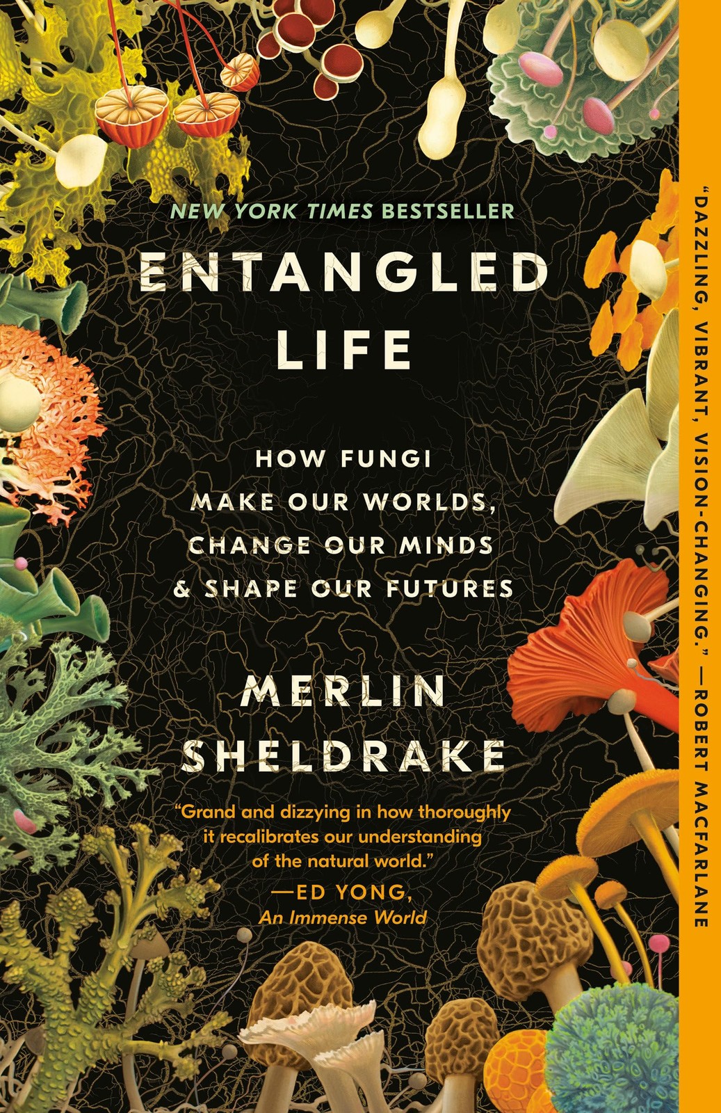 Entangled Life: How Fungi Make Our Worlds, Change Our Minds… – Merlin Sheldrake