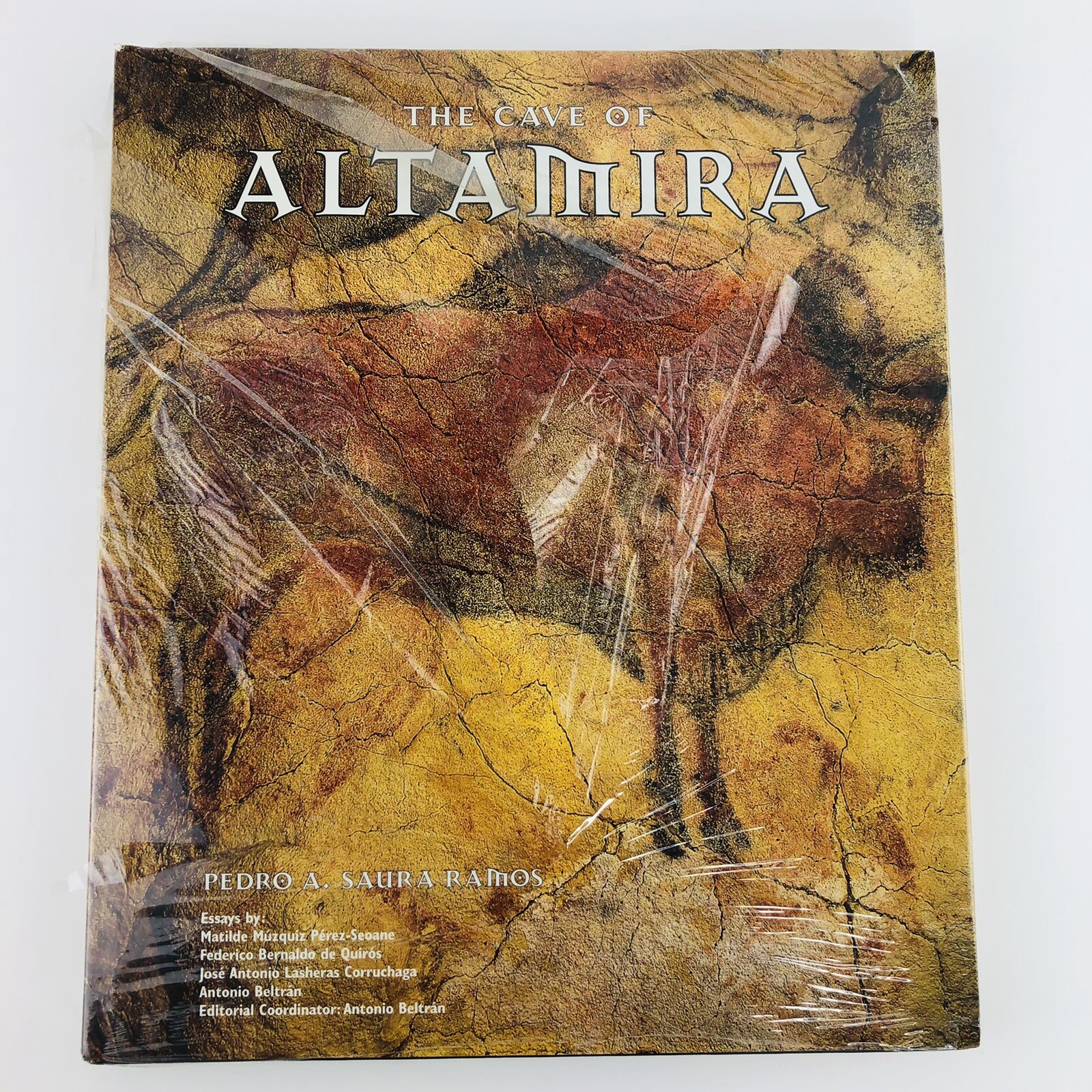 Cave of Altamira by Pedro A. Saura Ramos (1999, Hardcover, NEW Partially Sealed)