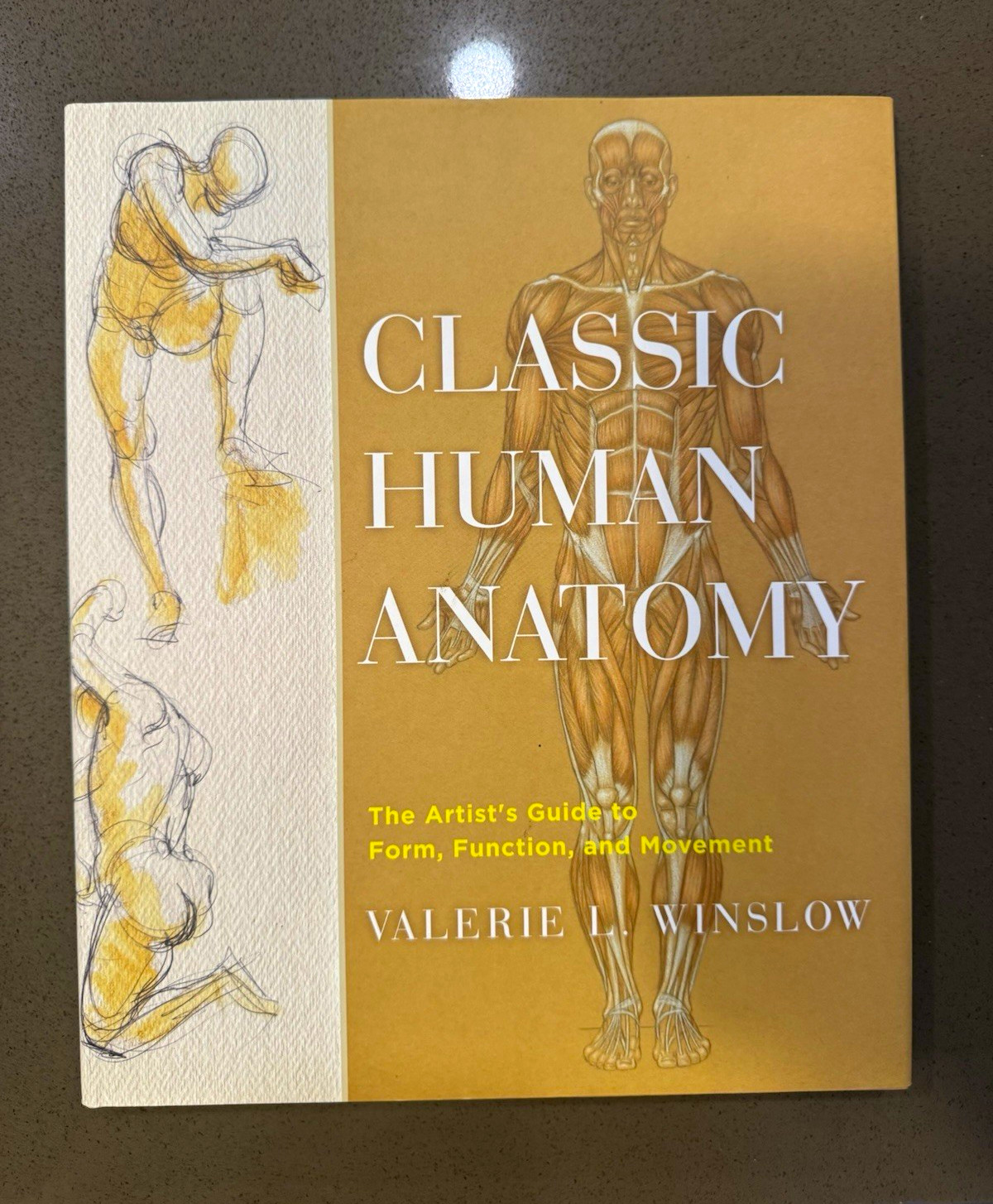 Classic Human Anatomy: Artist’s Guide to Form, Function & Movement PB Winslow