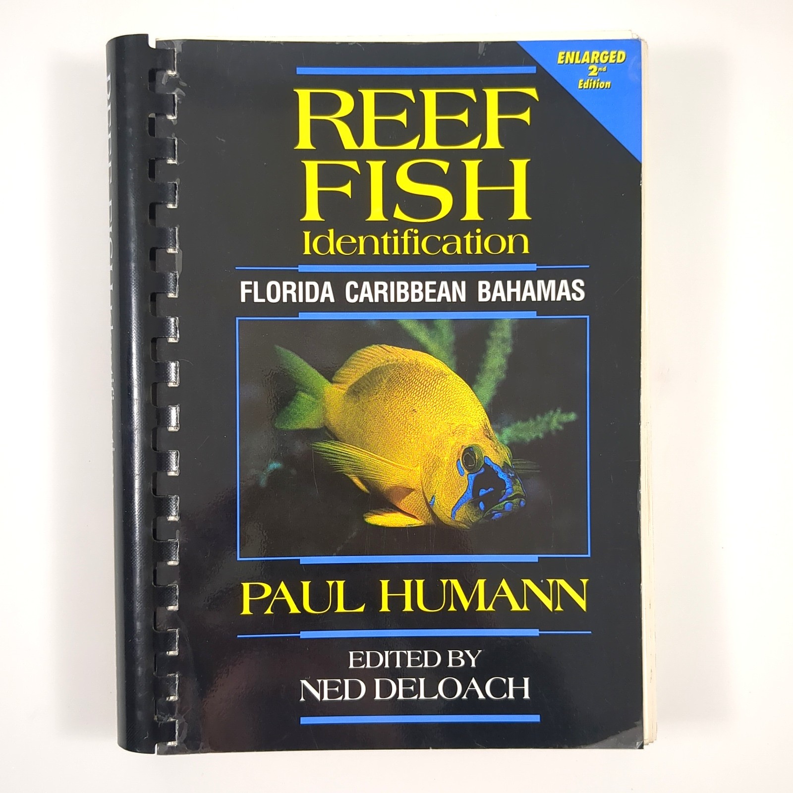 Reef Fish Identification Florida Caribbean Bahamas Spiral Book Paul Humann 1994