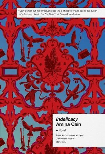 Amina Cain Indelicacy (Paperback)