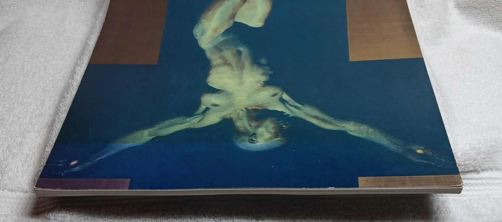 John Asaro Presents Bella Donna (2009 • Exhibition Catalog • HC • Good)