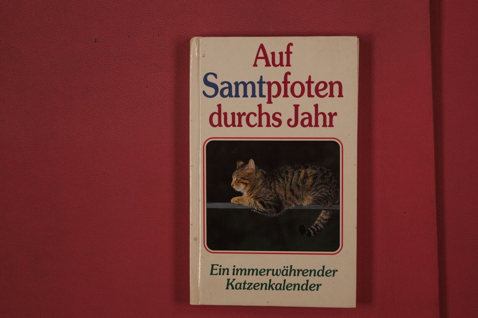 336980 AUF SAMTPFOTEN DURCHS JAHR Scherz Verlag Ein immerwährender