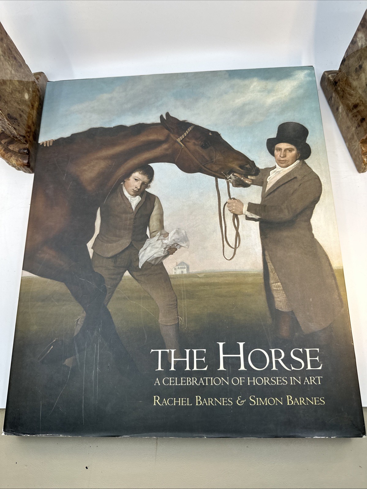 THE HORSE Celebration of Horses in Art Barnes Quercus 2008 Cloth Case (AF6)