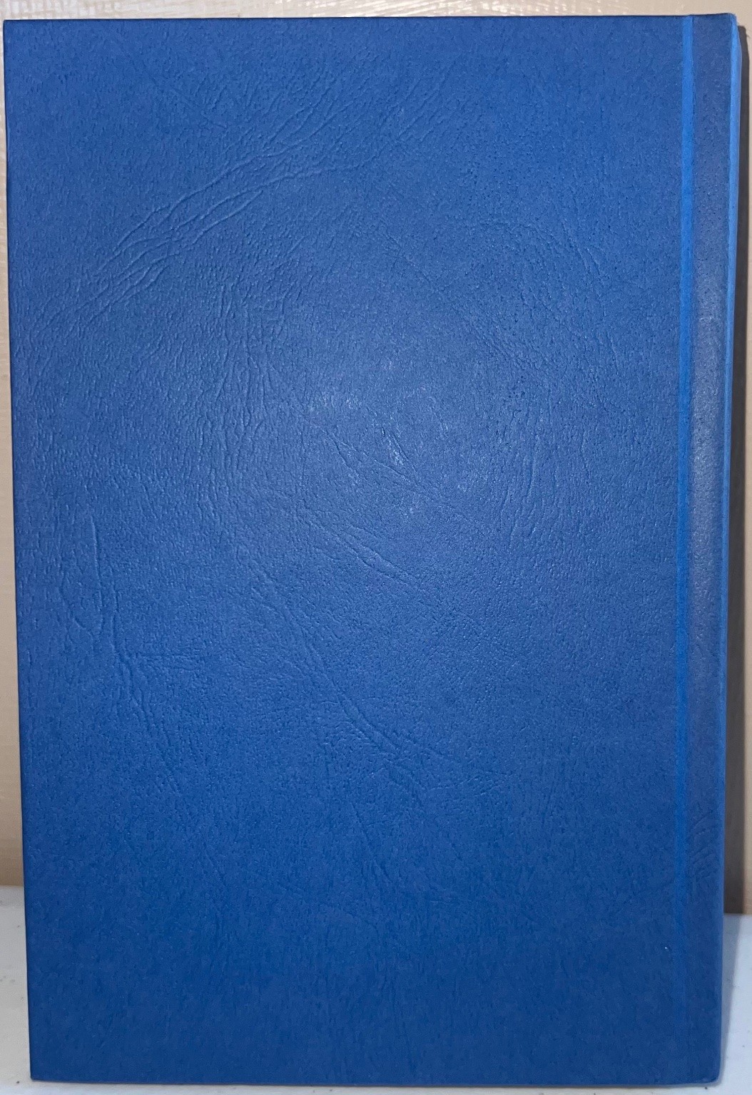 Mockingjay Suzanne Collins Scholastic Press 2010 Hardcover Blue Superb EUC! 🍀