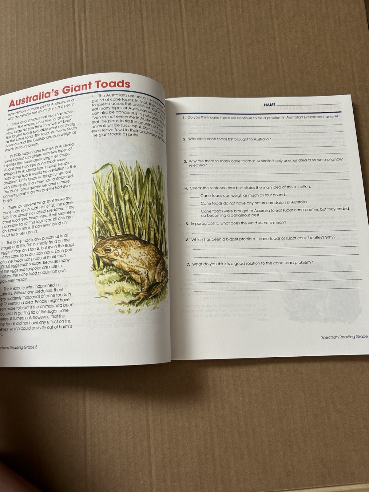Spectrum Reading Workbook, Grade 5