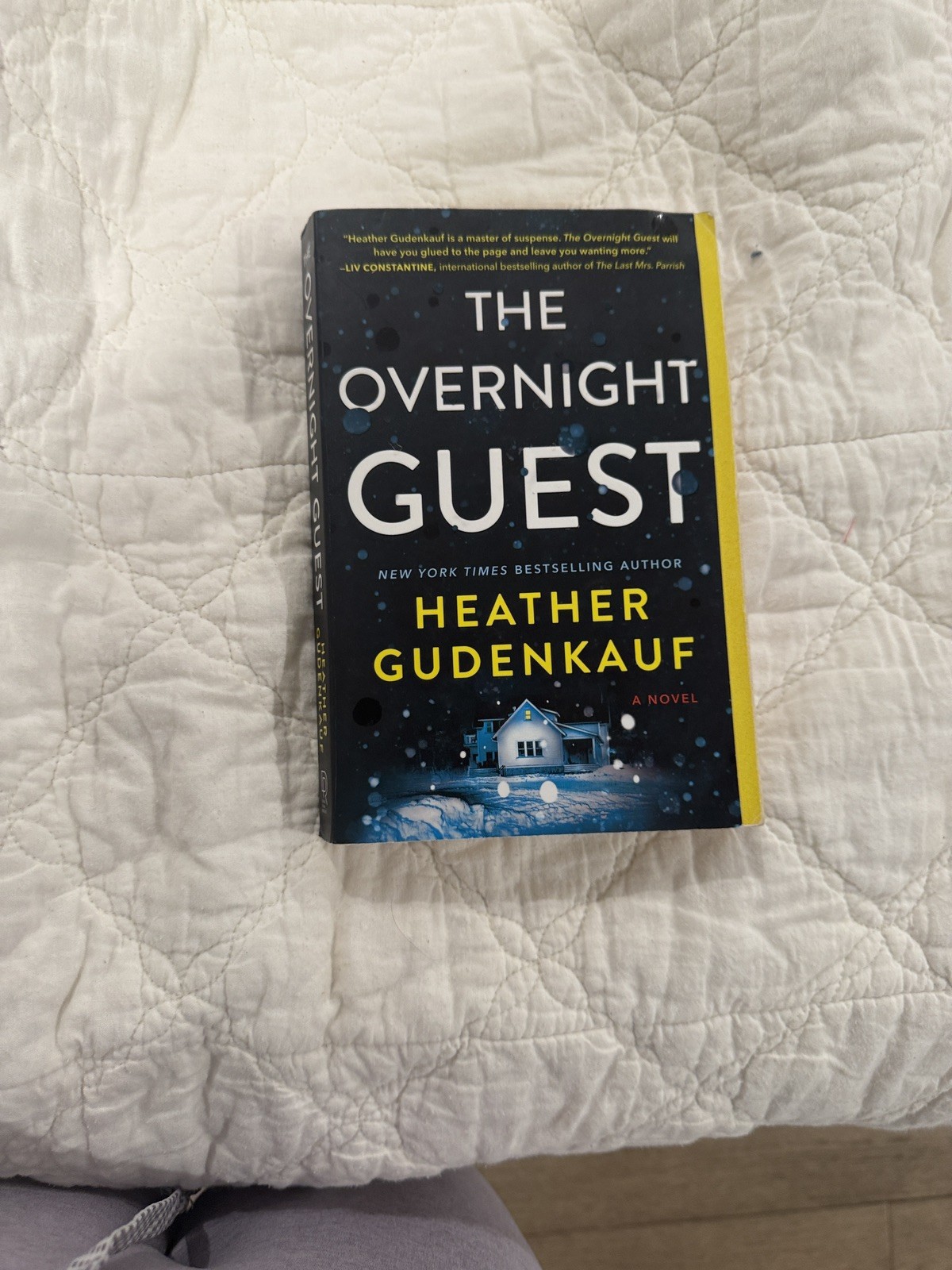 The Overnight Guest: A Novel