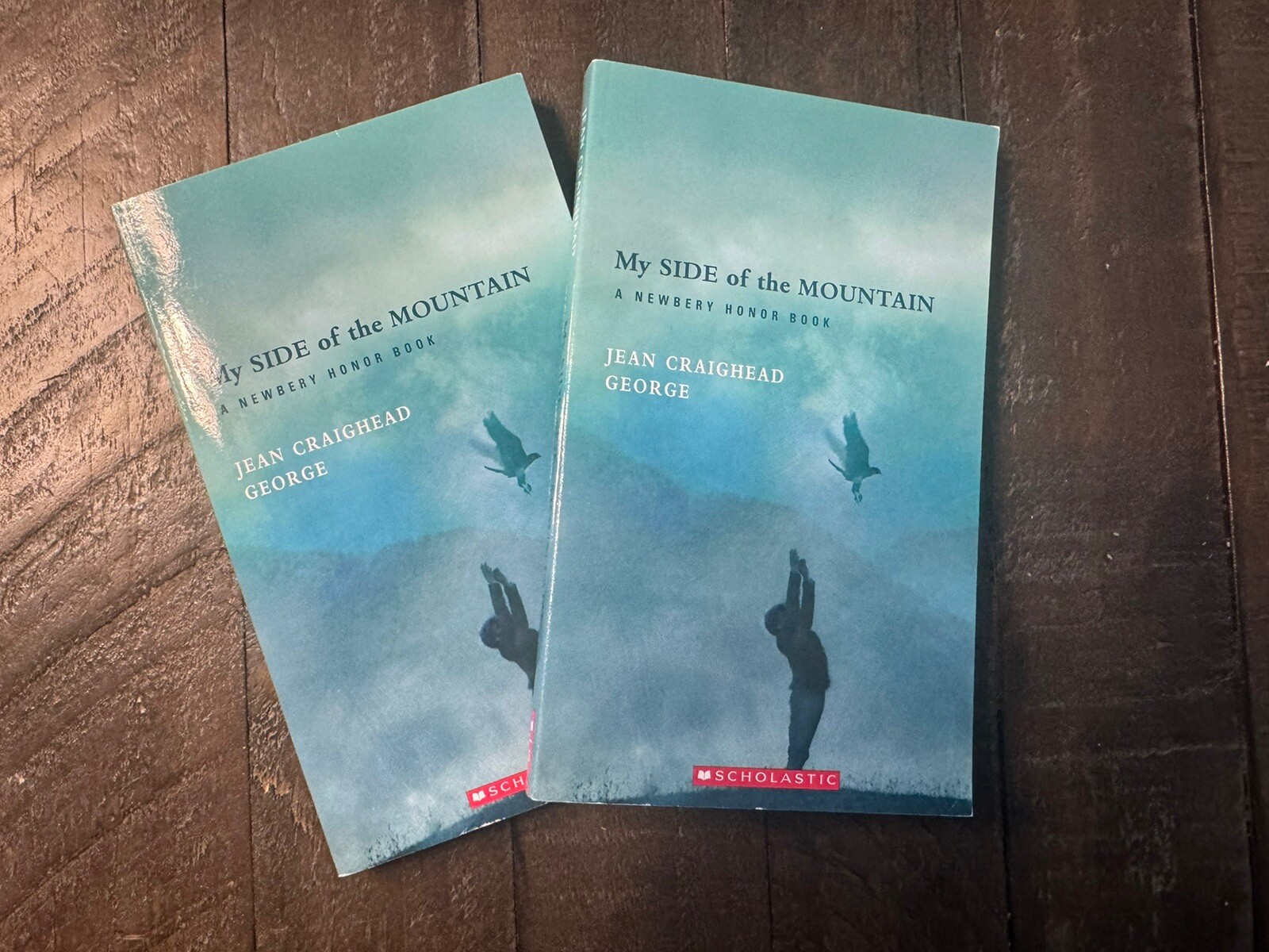 My Side of the Mountain by Jean Craighead George (2000, Book, Other) Set Of 2