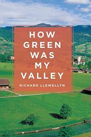 How Green Was My Valley – Paperback, by Llewellyn Richard – Very Good