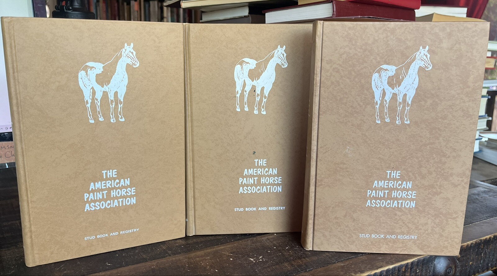3 Vol The American Paint Horse Association Stud Book Set Equestrian Set