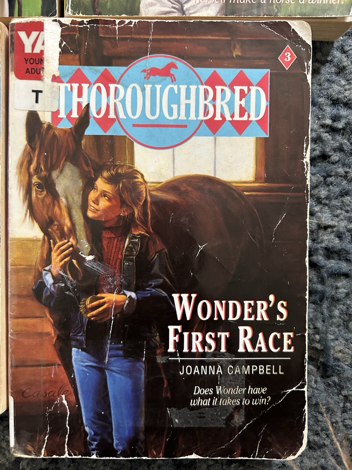 Thoroughbred Series Book Lot 6 Paperback Joanna Campbell Young Adult Horses