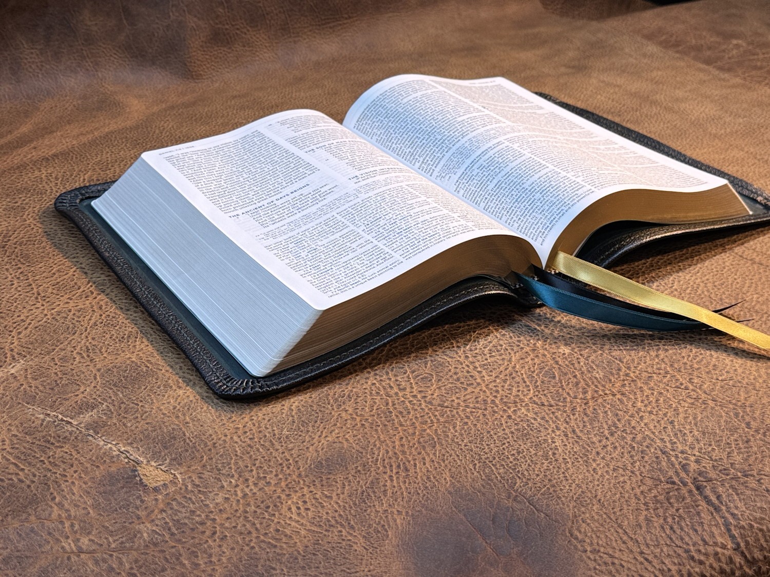 LSB Large Print Wide Margin Bible, Pebbled Black Goatskin Leather, 3 Ribbons