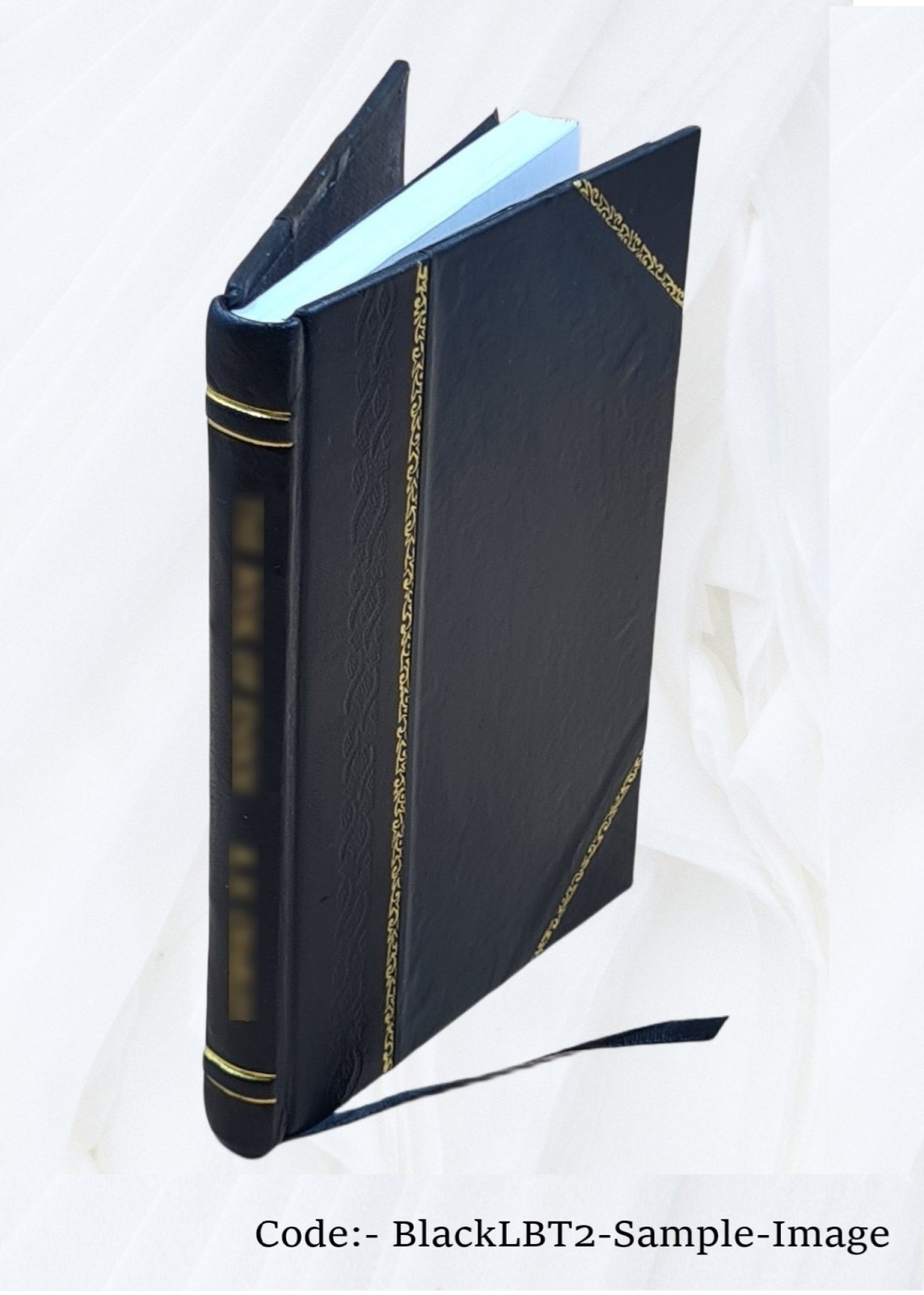 Carmilla 1916 [Leather Bound] By Joseph Sheridan Le Fanu