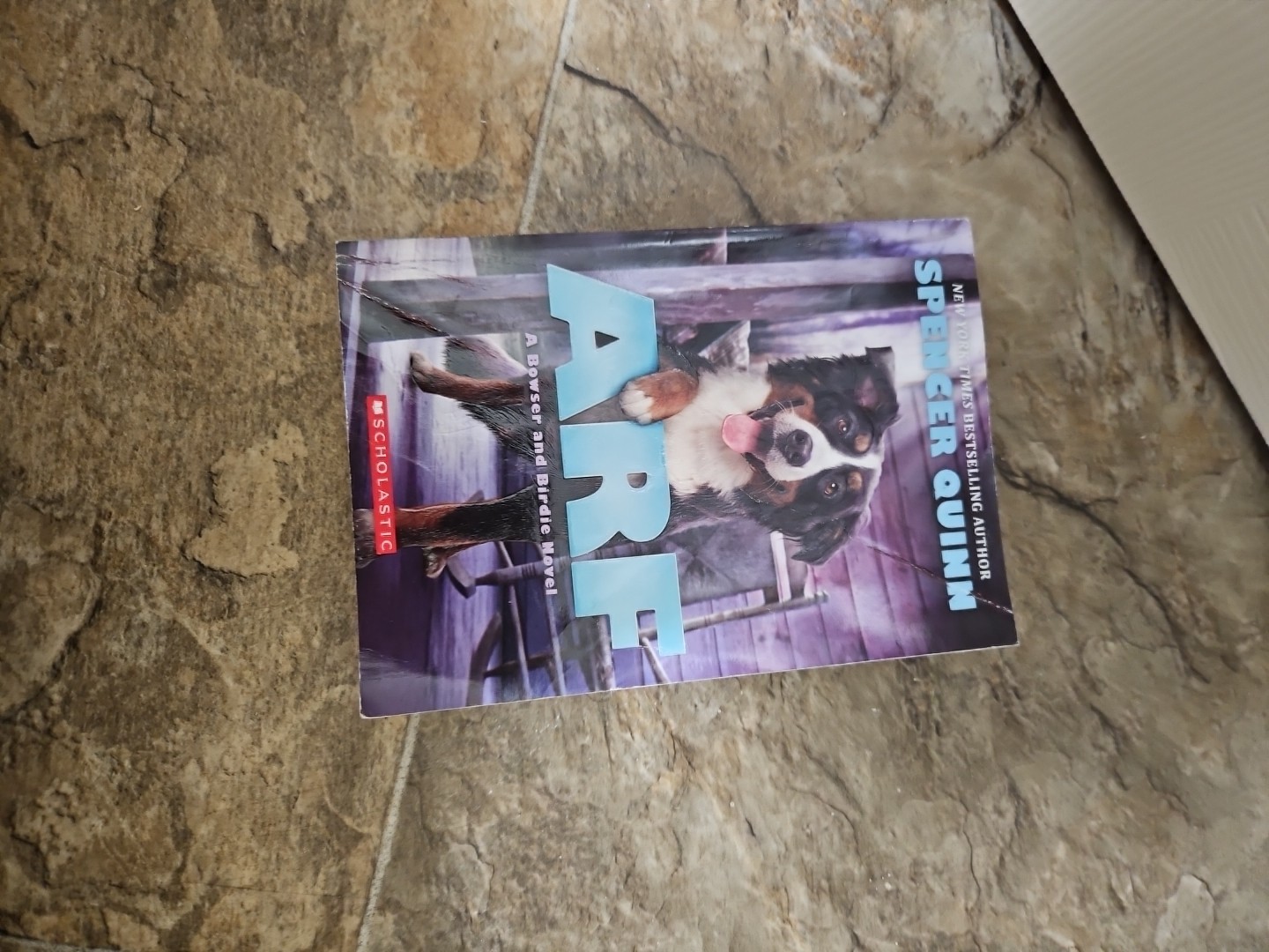 Arf Book Ages 8-12 Boys And Girls 293 pages